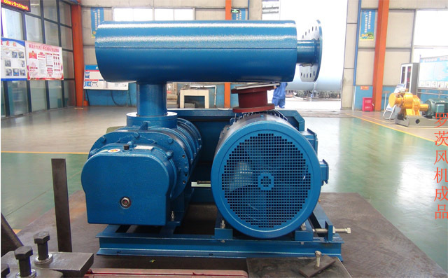 組裝完成的羅茨風機 組裝完成的羅茨風機