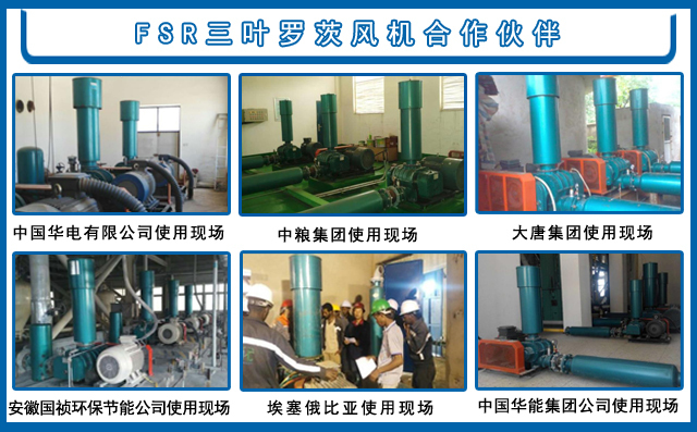 羅茨鼓風(fēng)機(jī)案例 羅茨鼓風(fēng)機(jī)案例