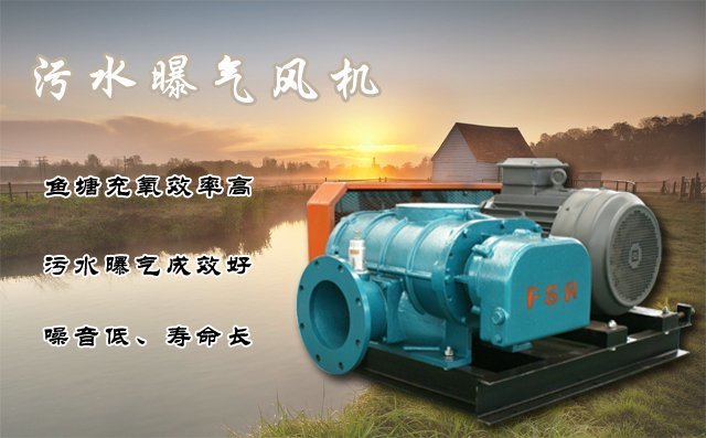 污水曝氣風(fēng)機 污水曝氣風(fēng)機