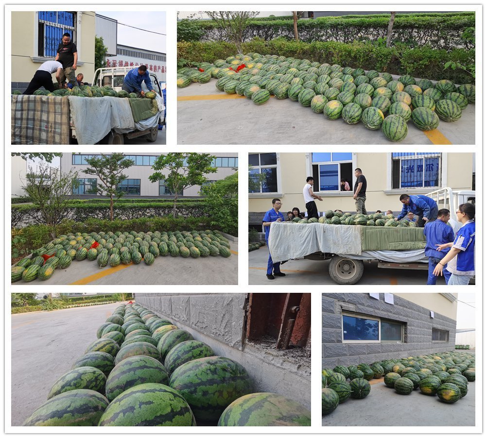 豐源清涼一夏 豐源清涼一夏