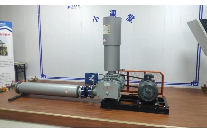 羅茨鼓風(fēng)機